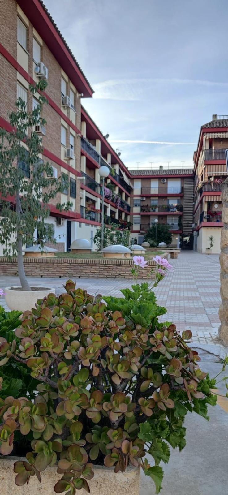 Loft A La Verita River, Parking Free Córdoba Eksteriør billede