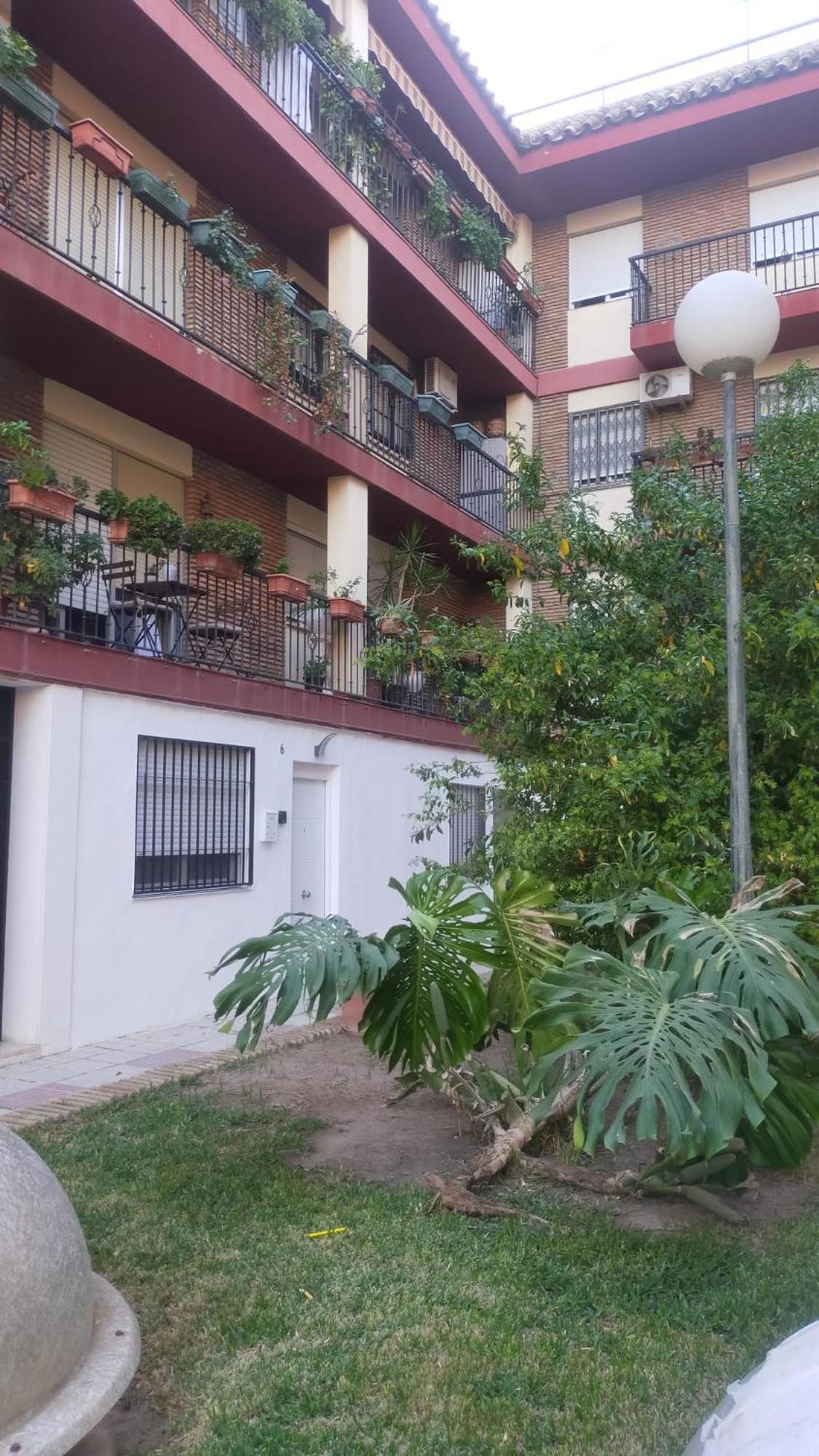 Loft A La Verita River, Parking Free Córdoba Eksteriør billede