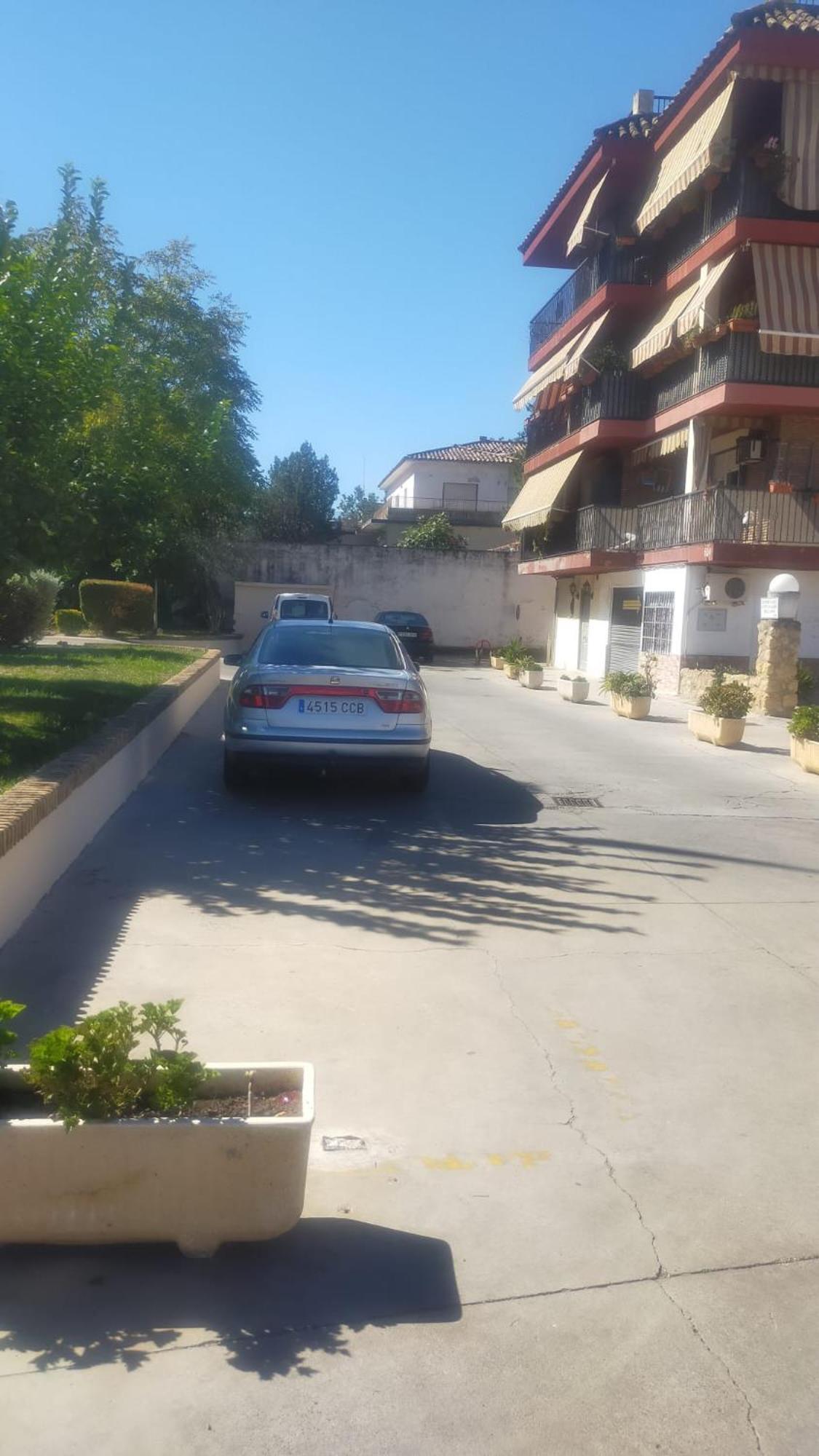 Loft A La Verita River, Parking Free Córdoba Eksteriør billede